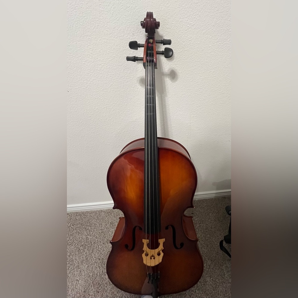 Elegant Brown Cello